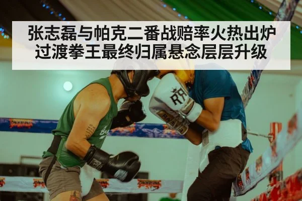 张志磊与帕克二番战赔率火热出炉过渡拳王最终归属悬念层层升级