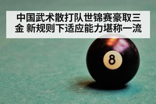 中国武术散打队世锦赛豪取三金 新规则下适应能力堪称一流